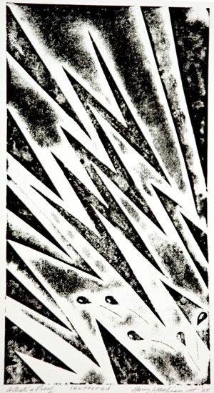 72 Shattered AP 8X14 3-4  2005